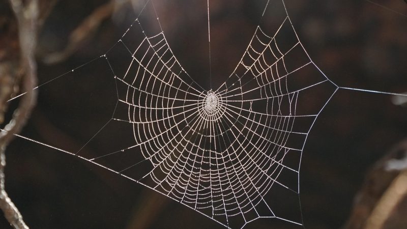 日韩电影免费在线观看网 正在热播与编辑精选：先看这几部，再决定今晚的方向